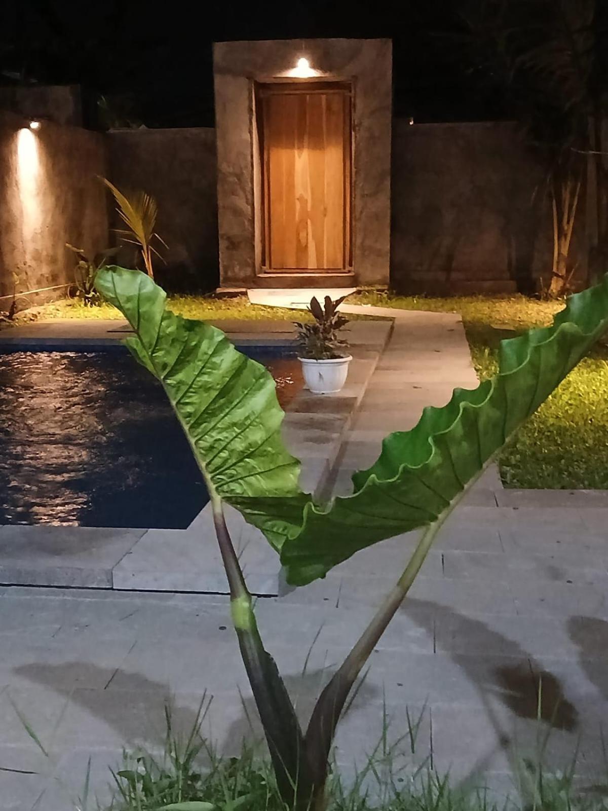 Nyoman Villa