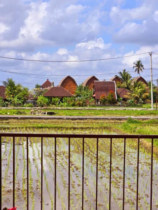 Relax And Unwind In Paradise Villa *