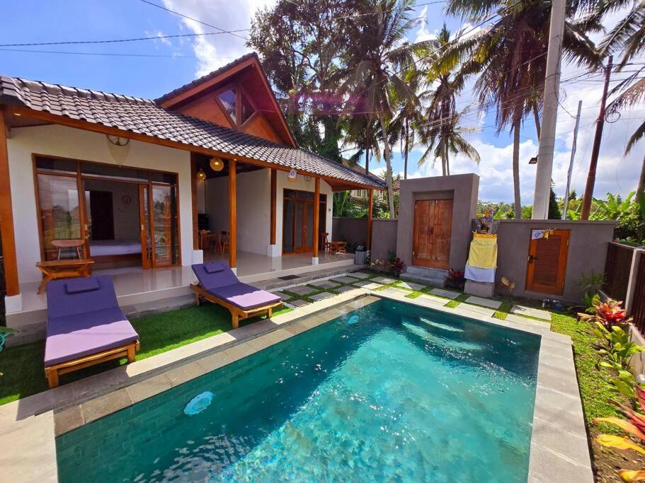 Relax And Unwind In Paradise