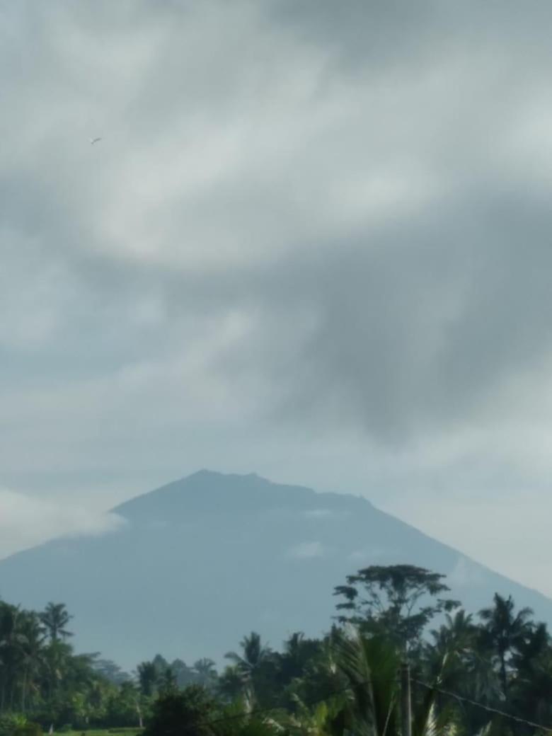 Nyoman * Ubud (Bali)