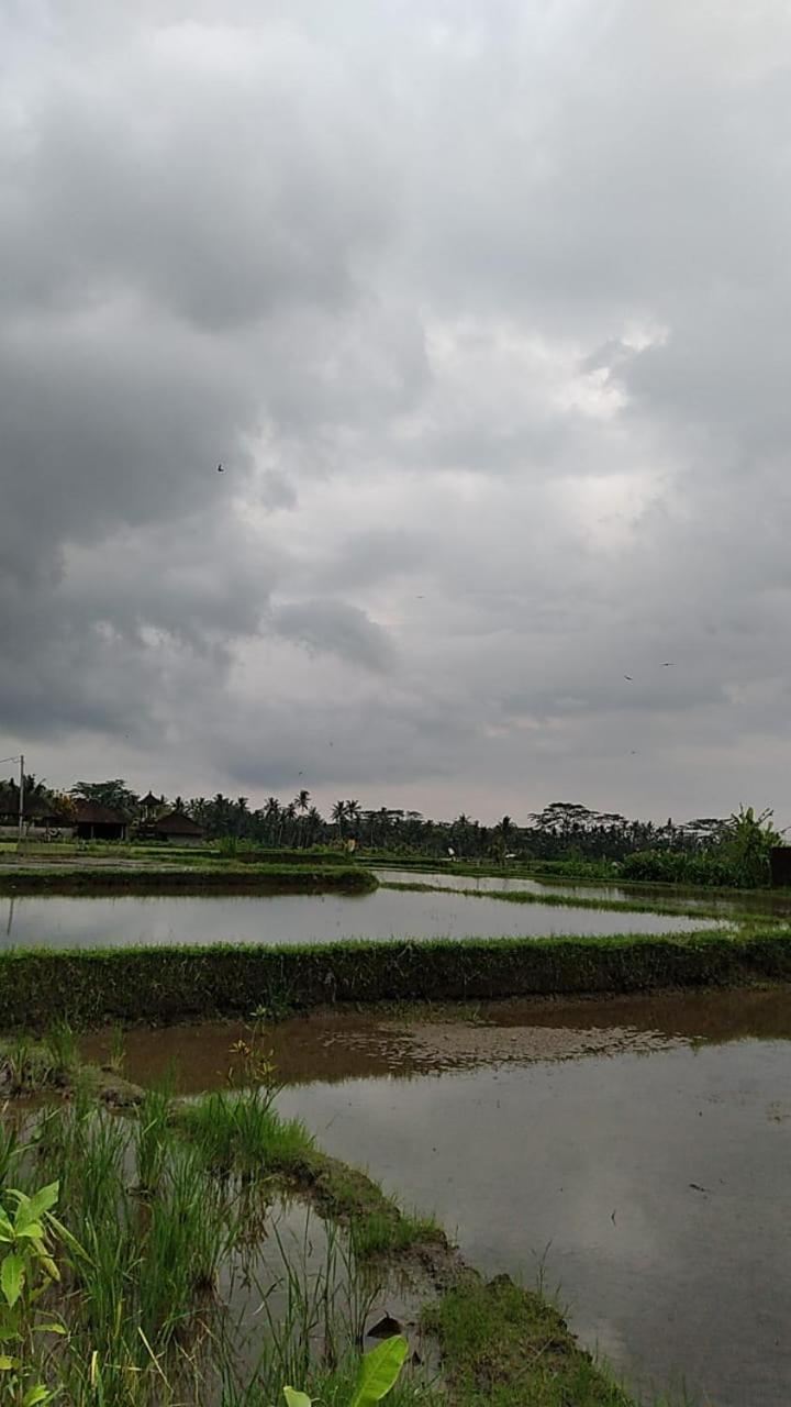 Villa Nyoman *