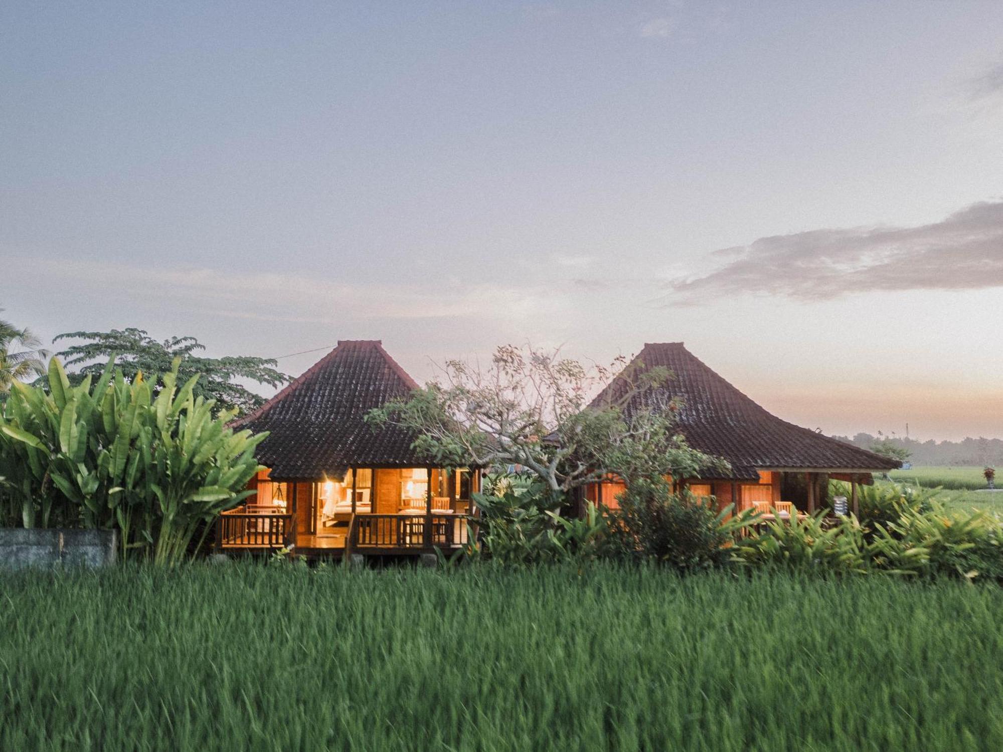 Guest house Umadesa Ubud (Bali)