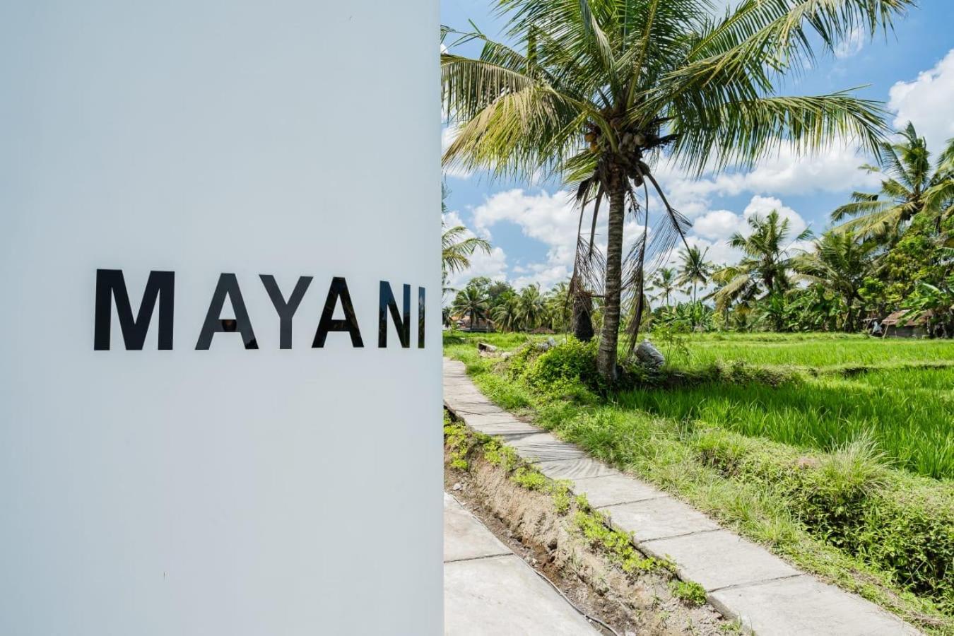 Mayani Villa
