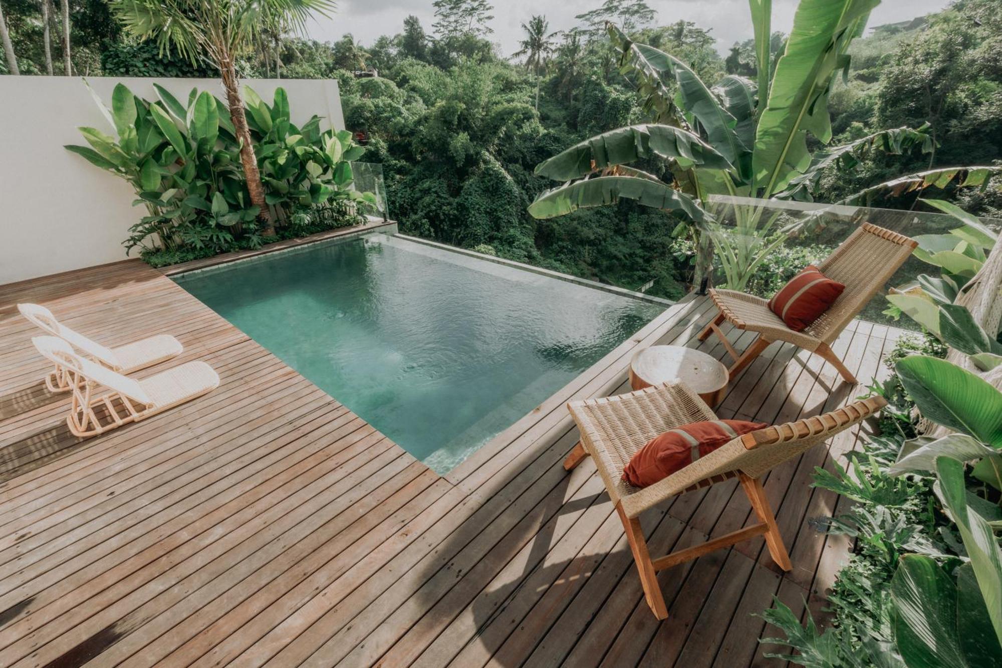 The Dream Villa *