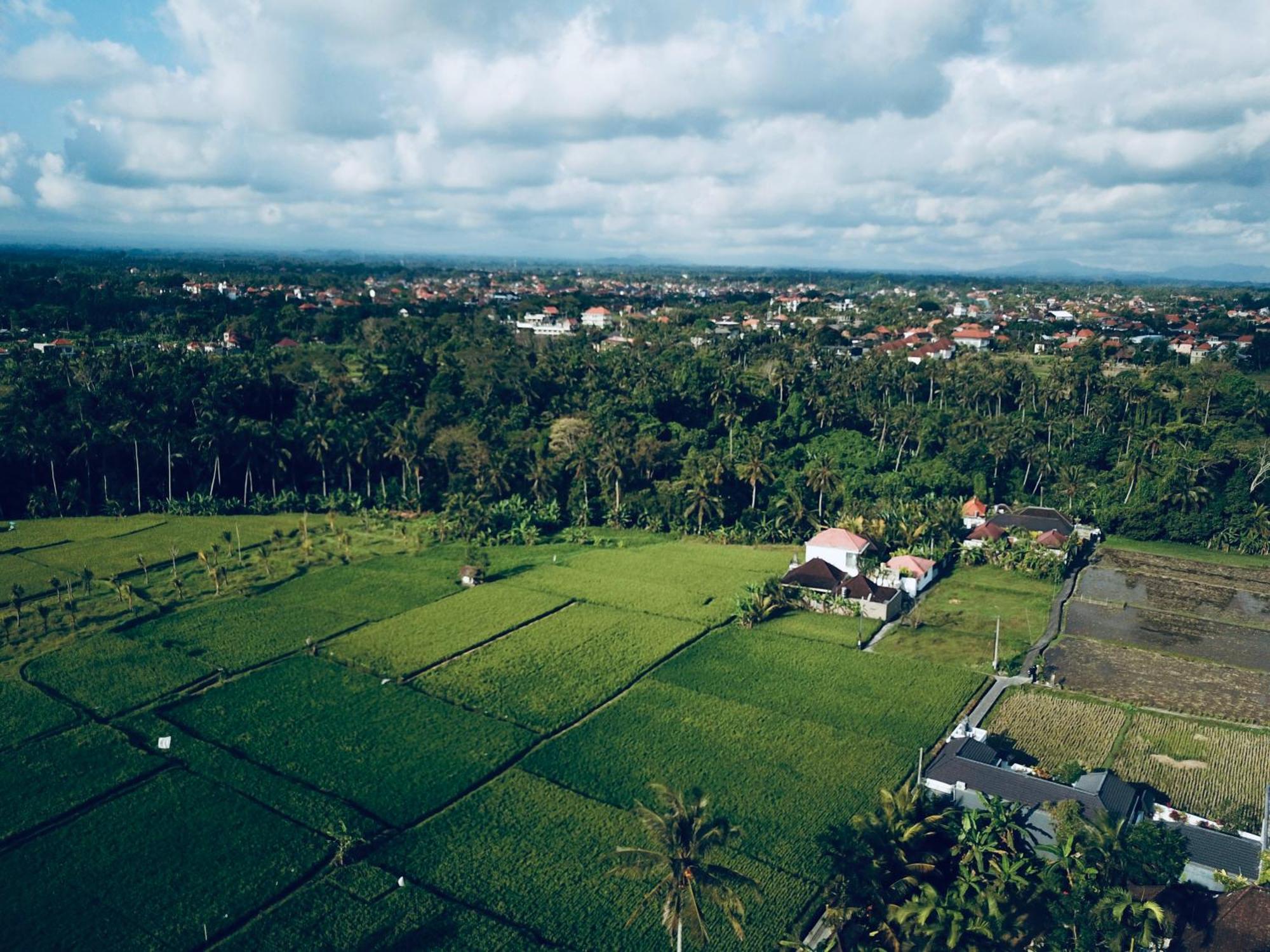 Villa Sari Padi House Ubud (Bali)
