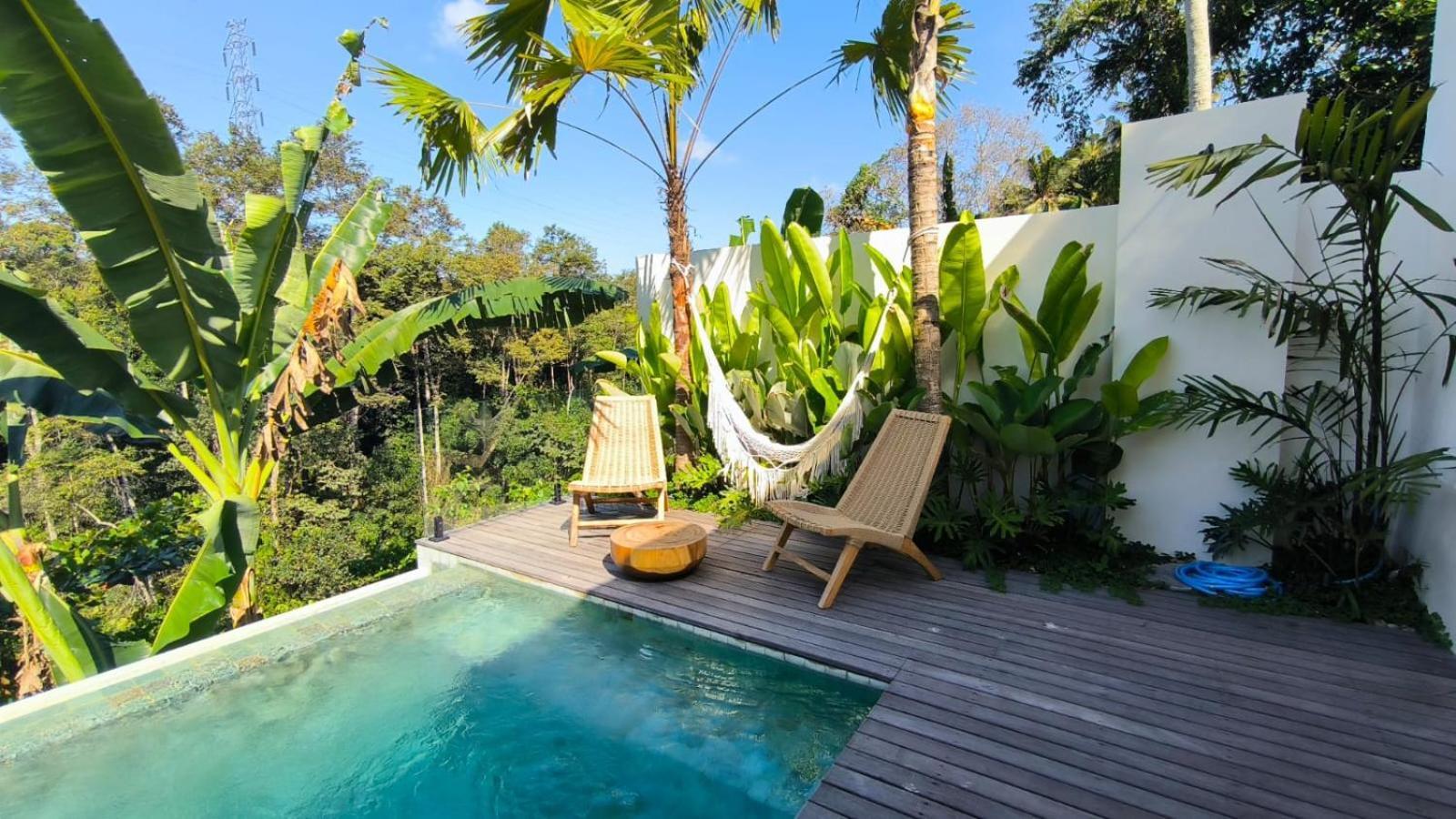 The Dream Villa