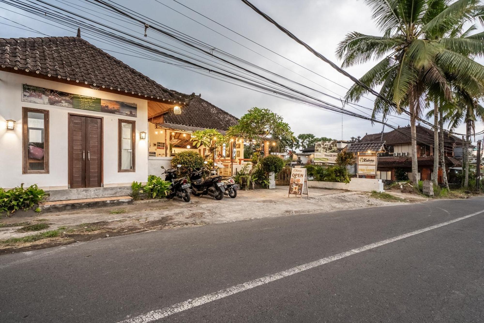 Vila Rice Field