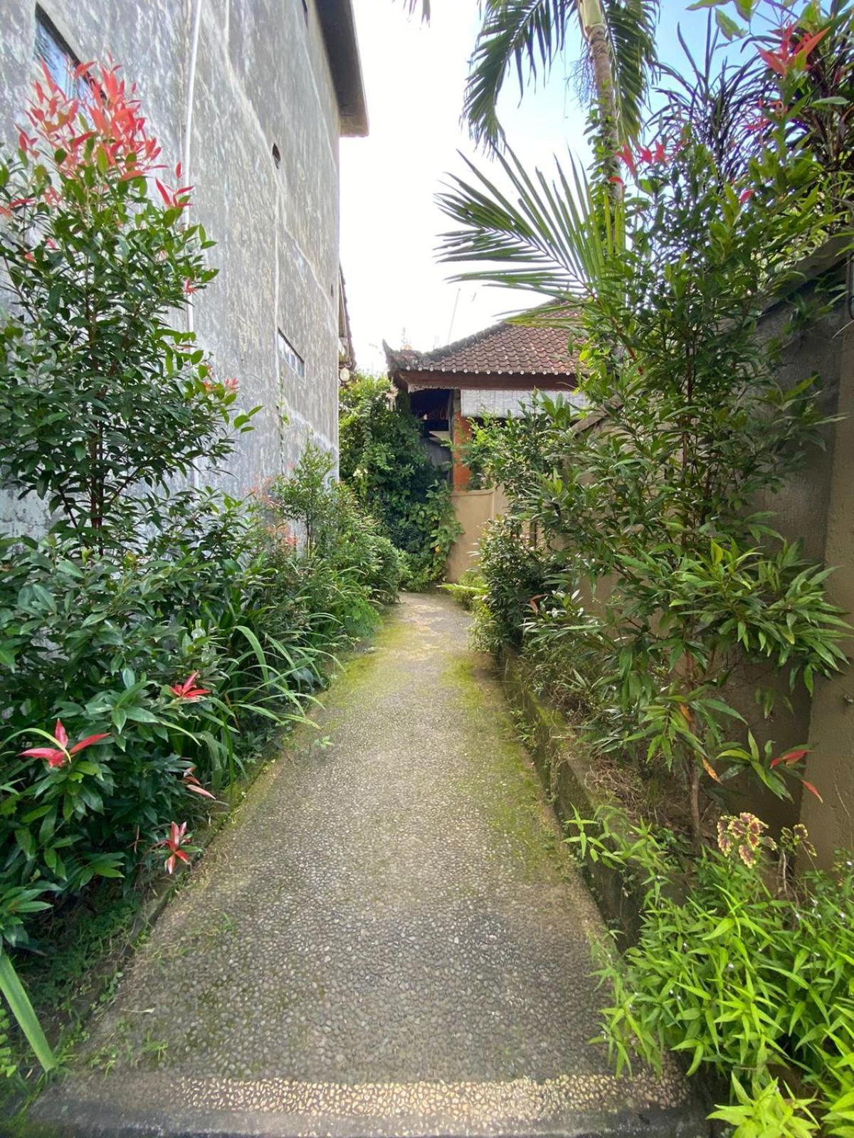 Bagus Guest house Ubud (Bali)