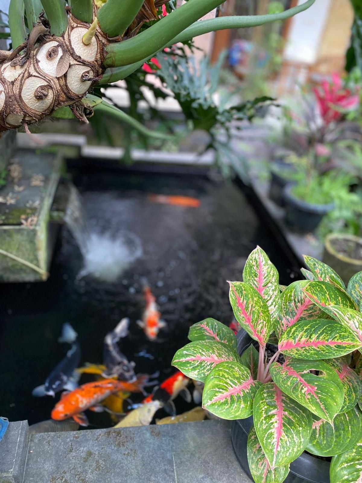 Bagus Ubud (Bali)