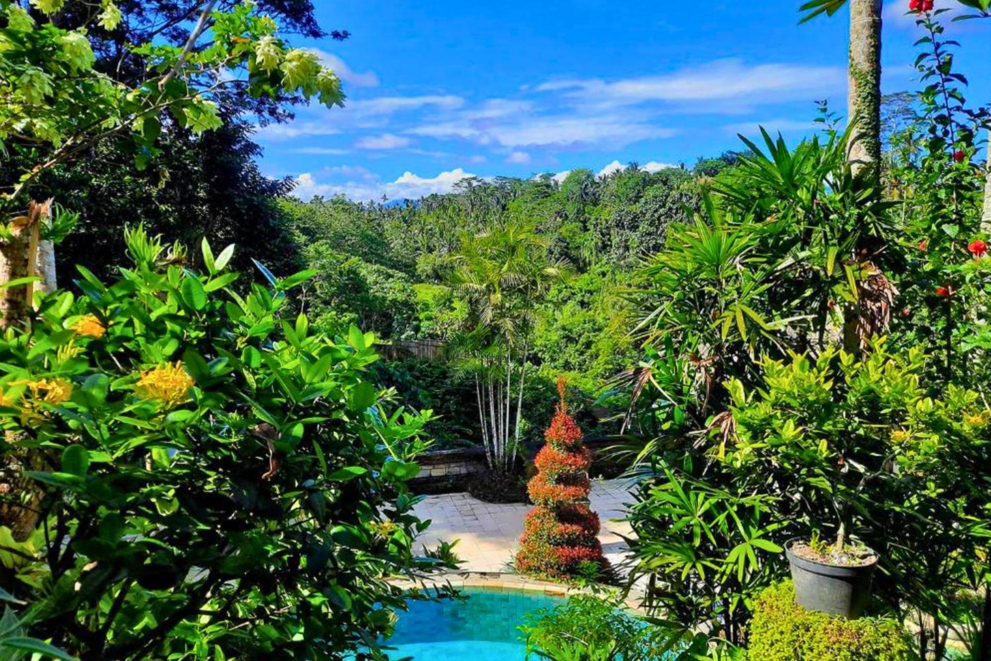 Punita 1 Bedroom Grand Deluxe Garden Zn237 Apartment