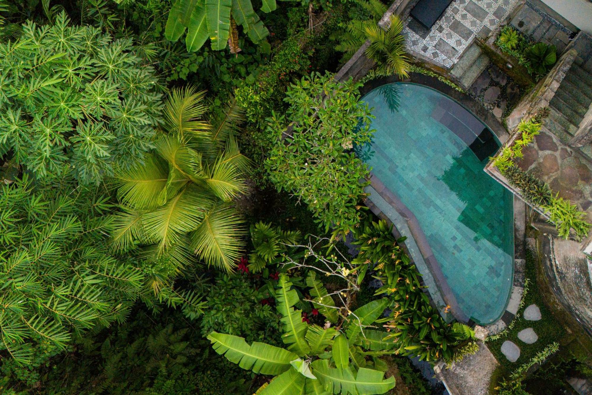 Darma Asih View By Eps * Ubud (Bali)