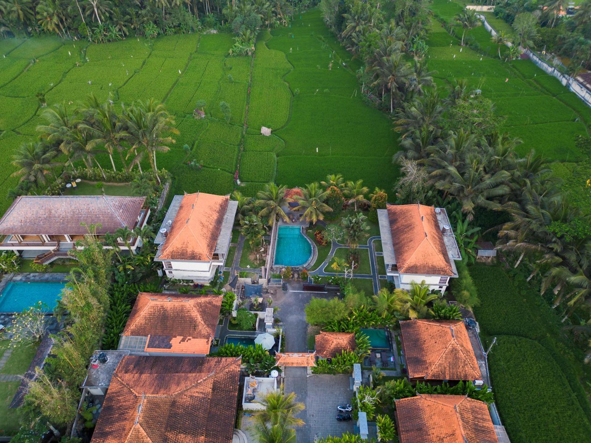 Meng Bengil * Ubud