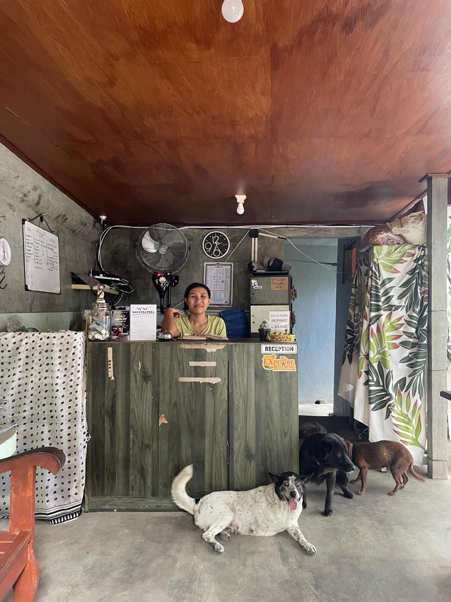 Ww Backpackers Hostel *