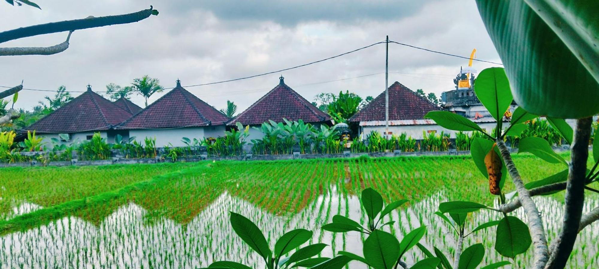 Srijaya By Shm * Ubud (Bali)