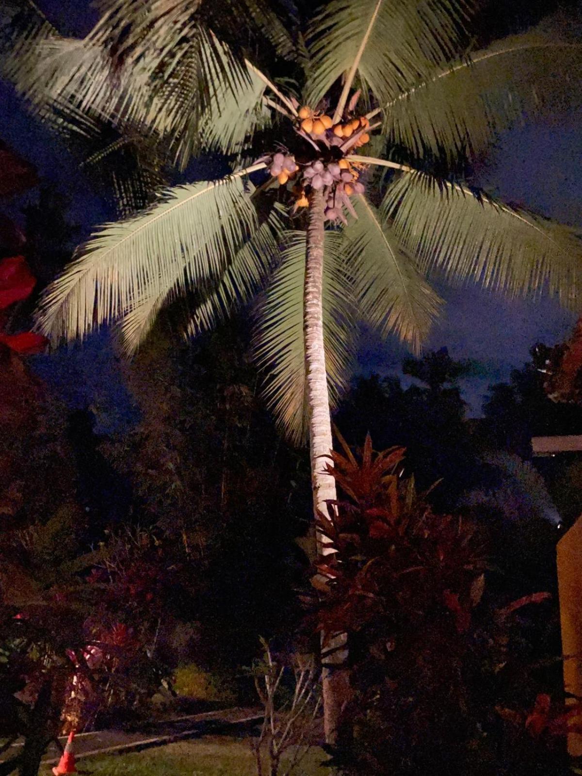 Our Bali Homestay Ubud (Bali)
