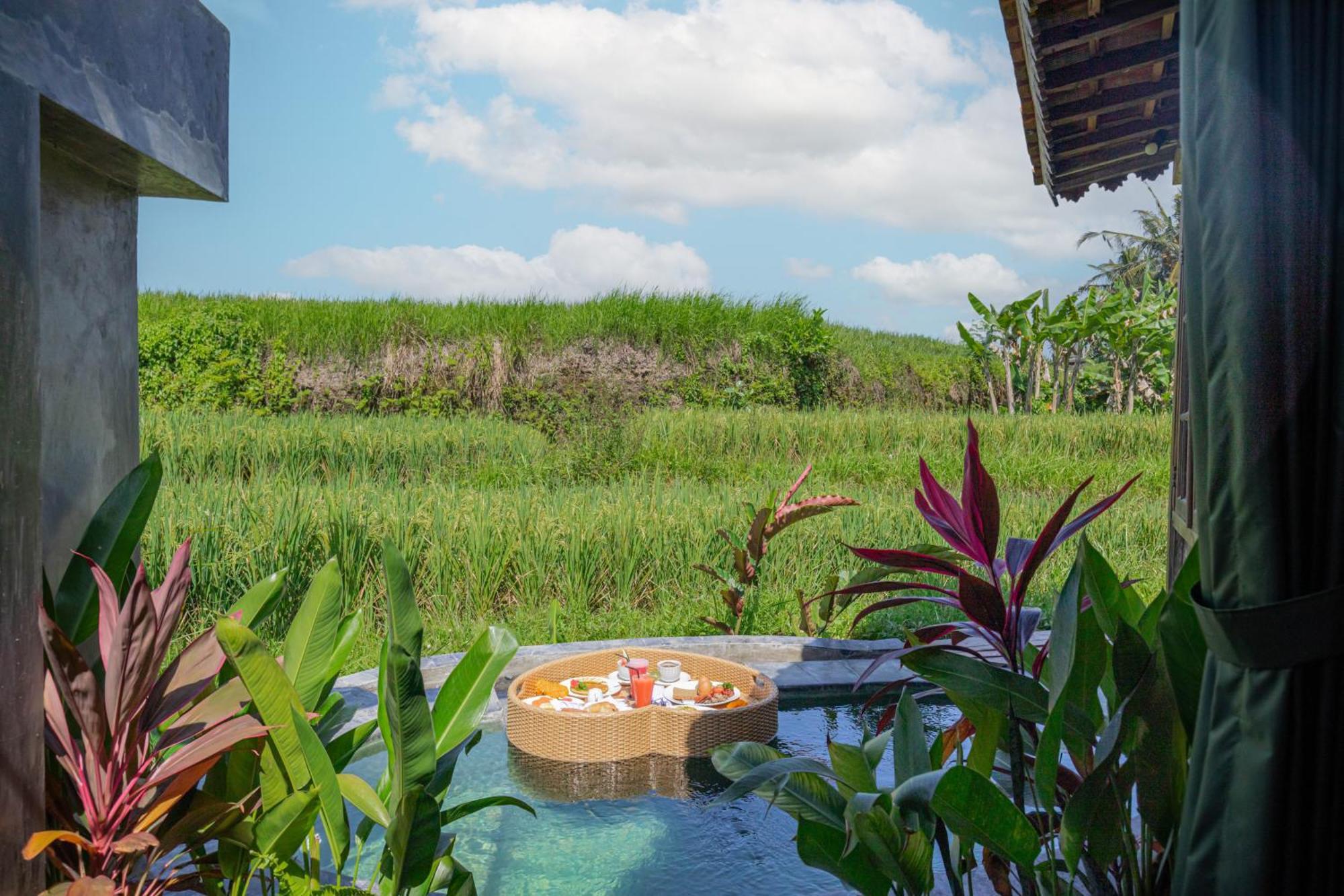 Abian View Ubud (Bali)