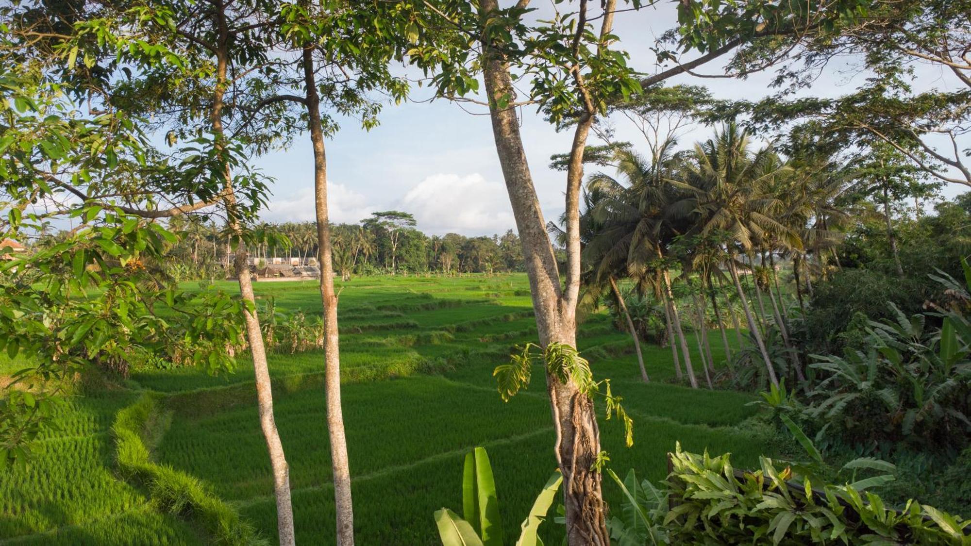Mezame By Balisuperhost * Ubud (Bali)