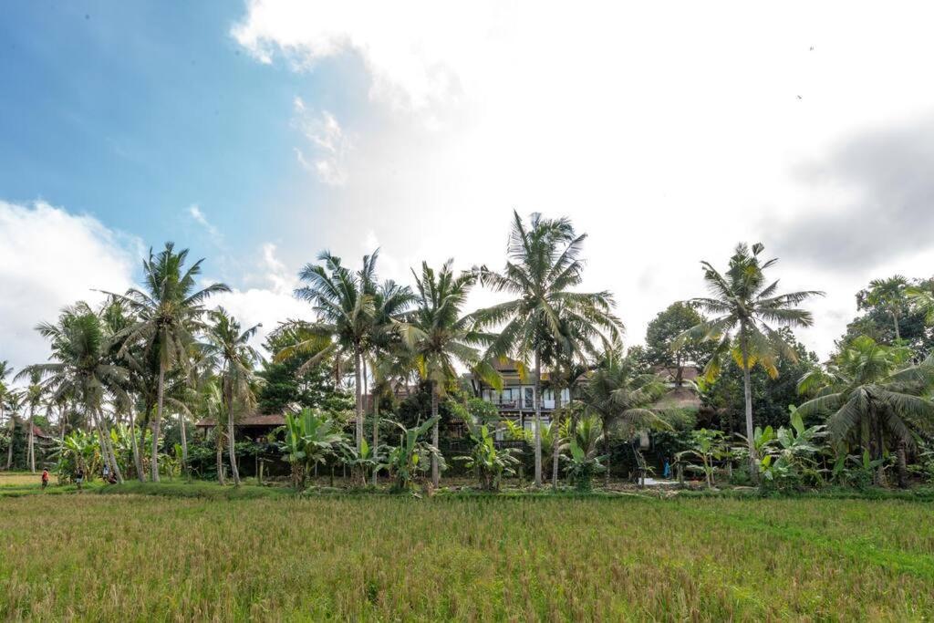 Villa Family Oasis, 2 Bedrooms, Shared Pool, Garden, Rice Field View Ubud (Bali)