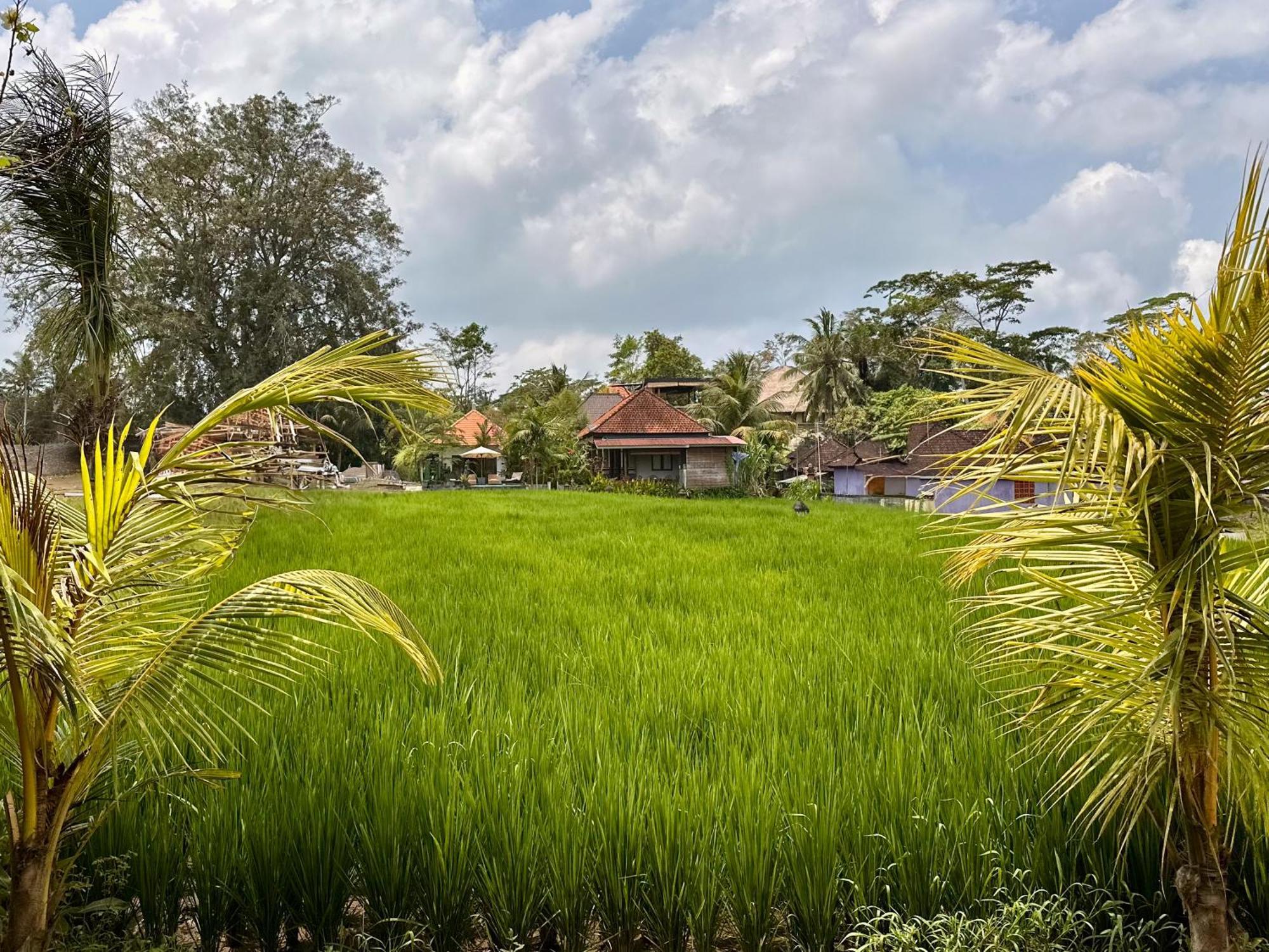 Villa Senja D' *