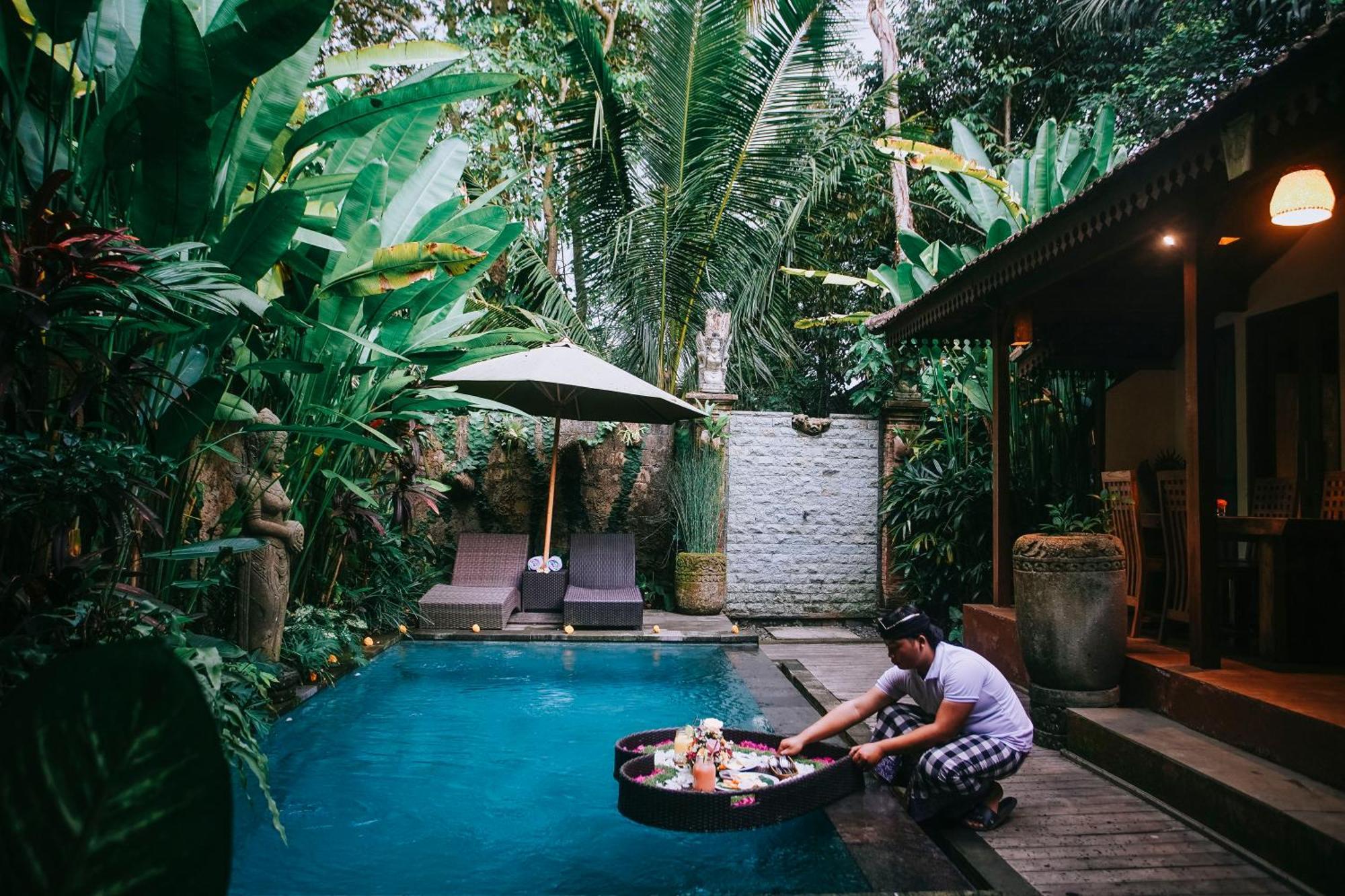Private With Nature Atmosphere By Dino *