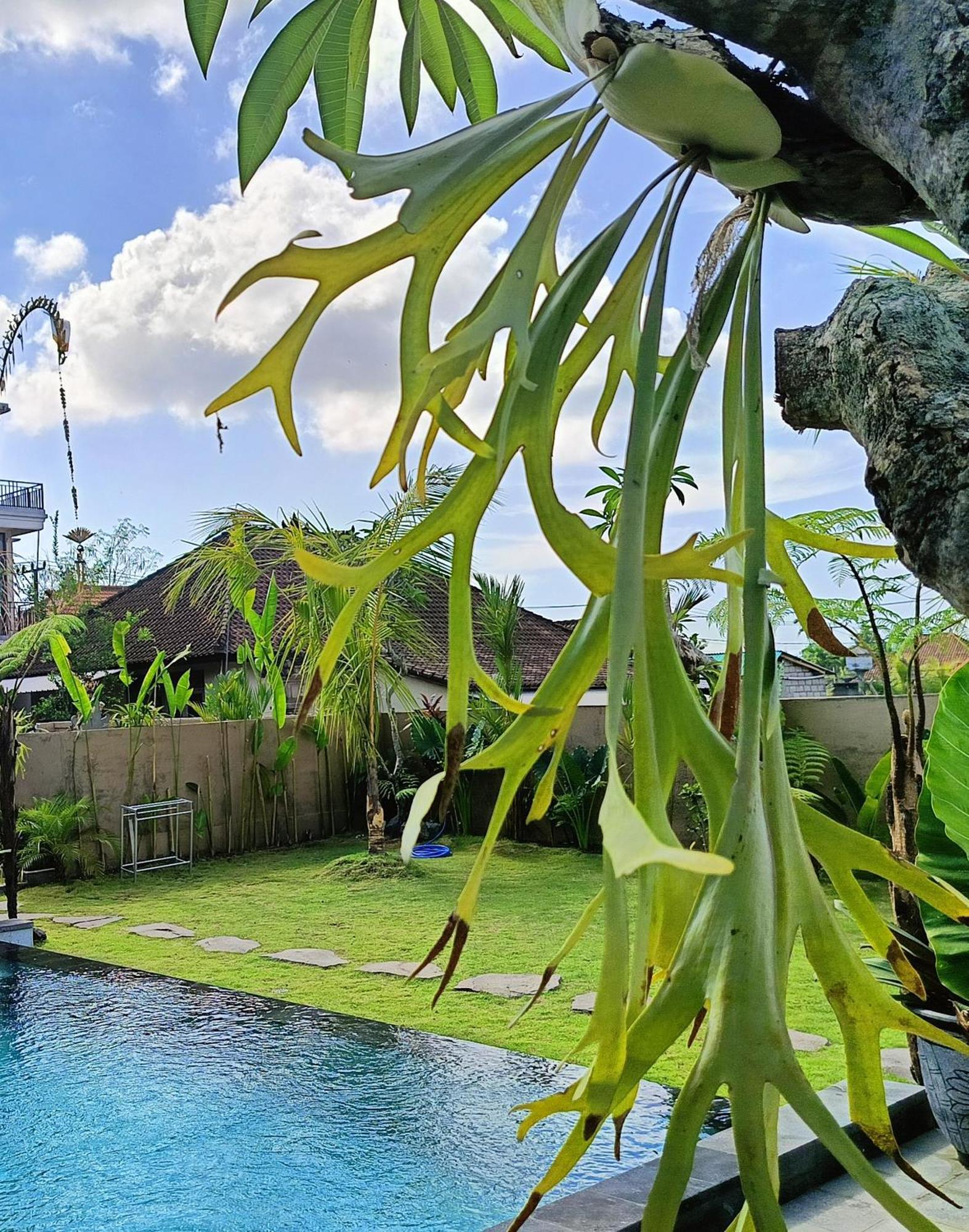 Villa 2br Private Pool Kitchen Ubud (Bali)
