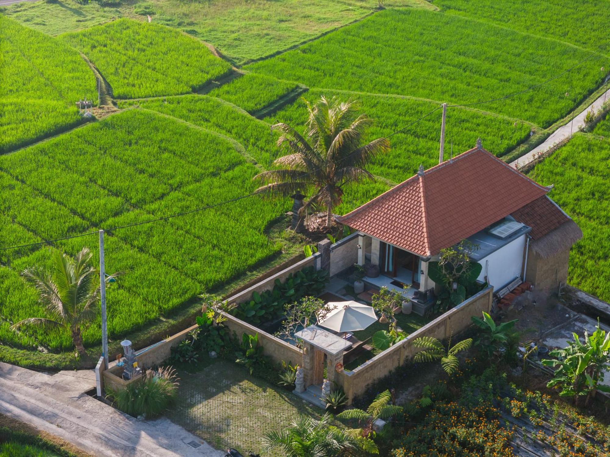 Wisana Sebatu By Uniquecations Villa Ubud