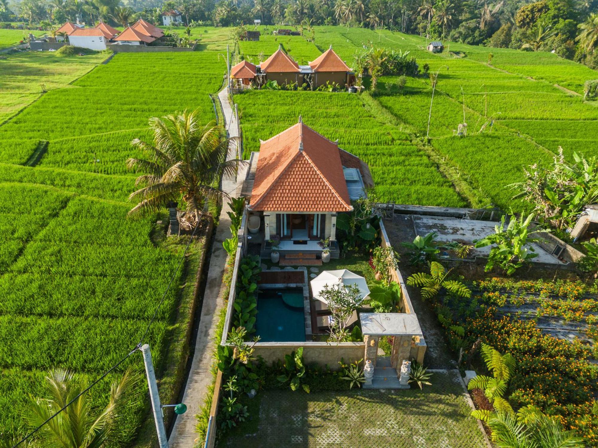 Villa Wisana Sebatu By Uniquecations *