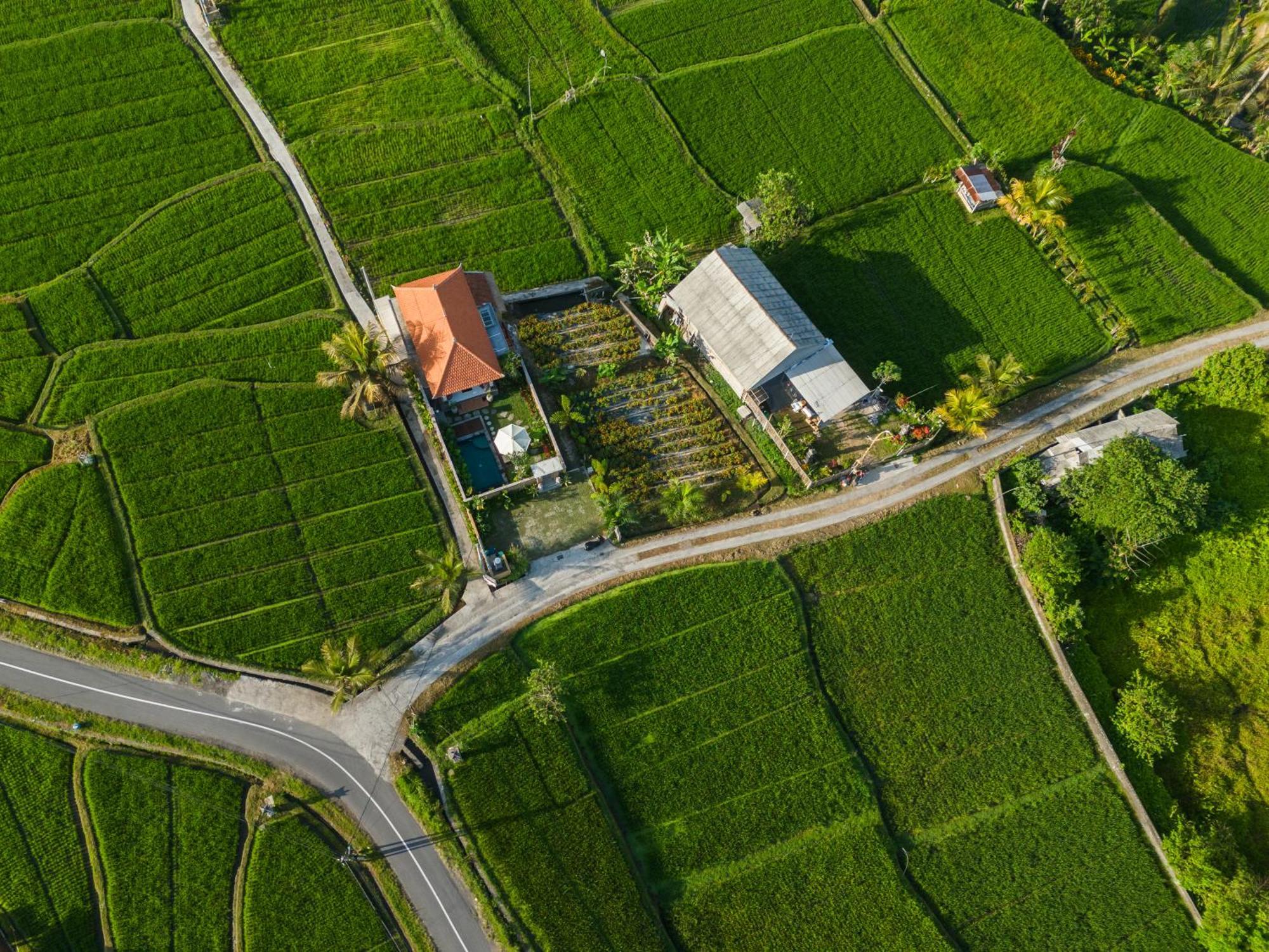 Villa Wisana Sebatu By Uniquecations *