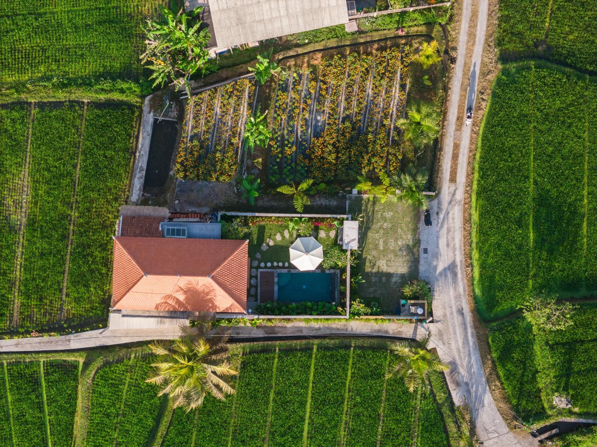 Villa Wisana Sebatu By Uniquecations Ubud