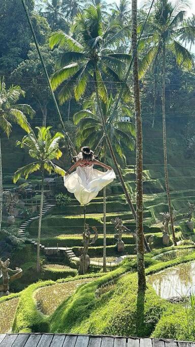 D'carik Ubud (Bali)