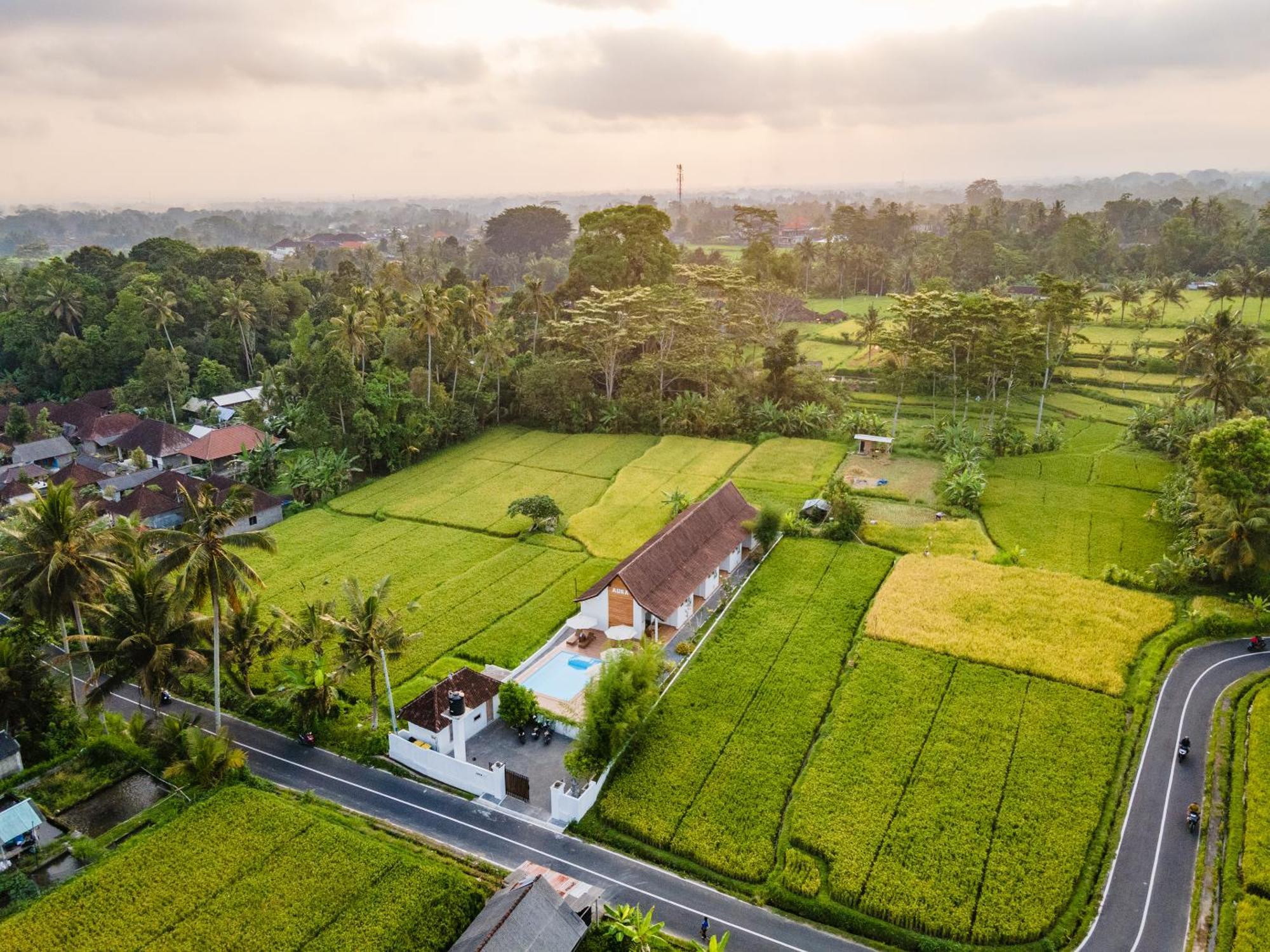Aura * Ubud