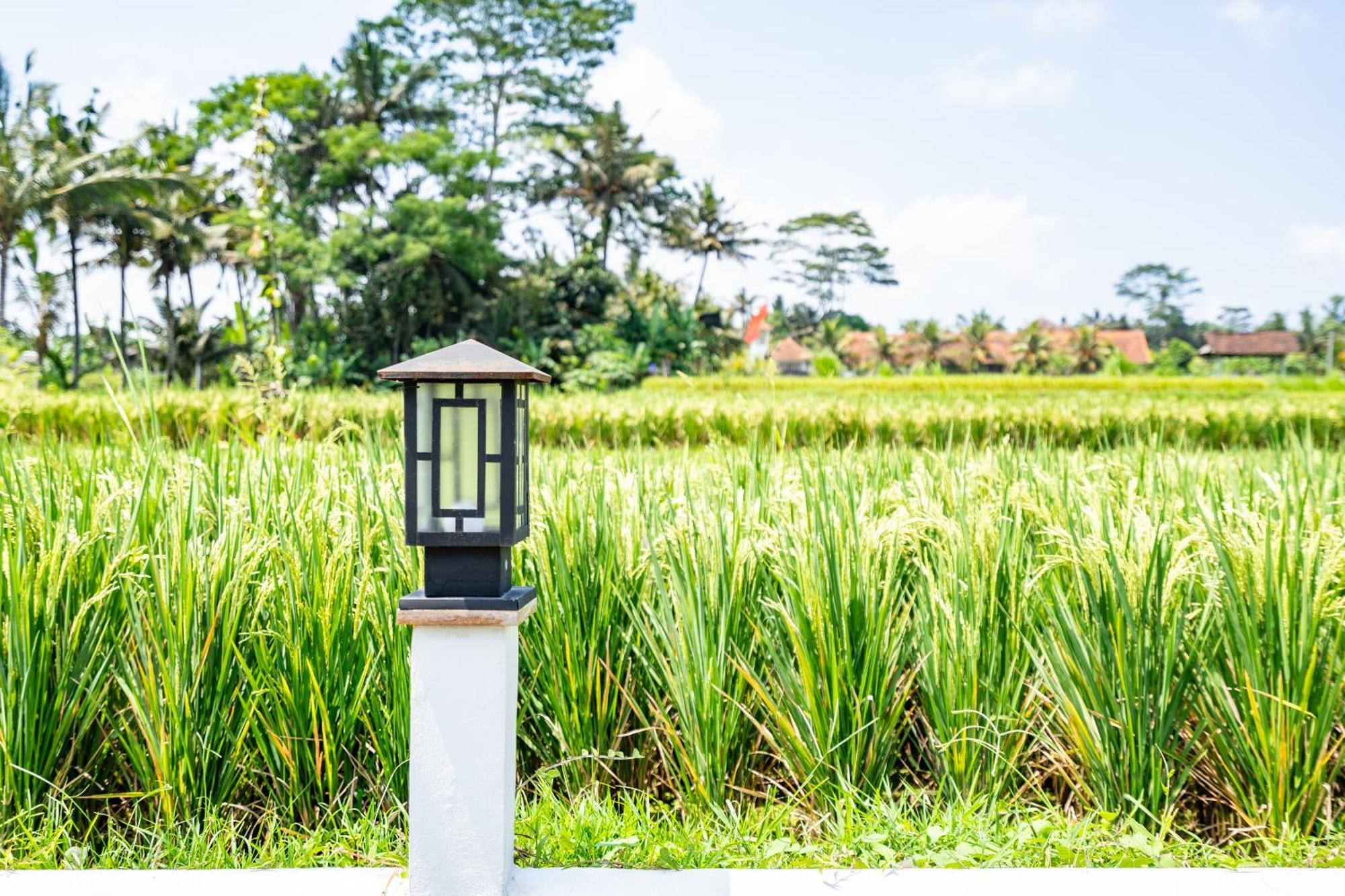 Aura Appartement Ubud