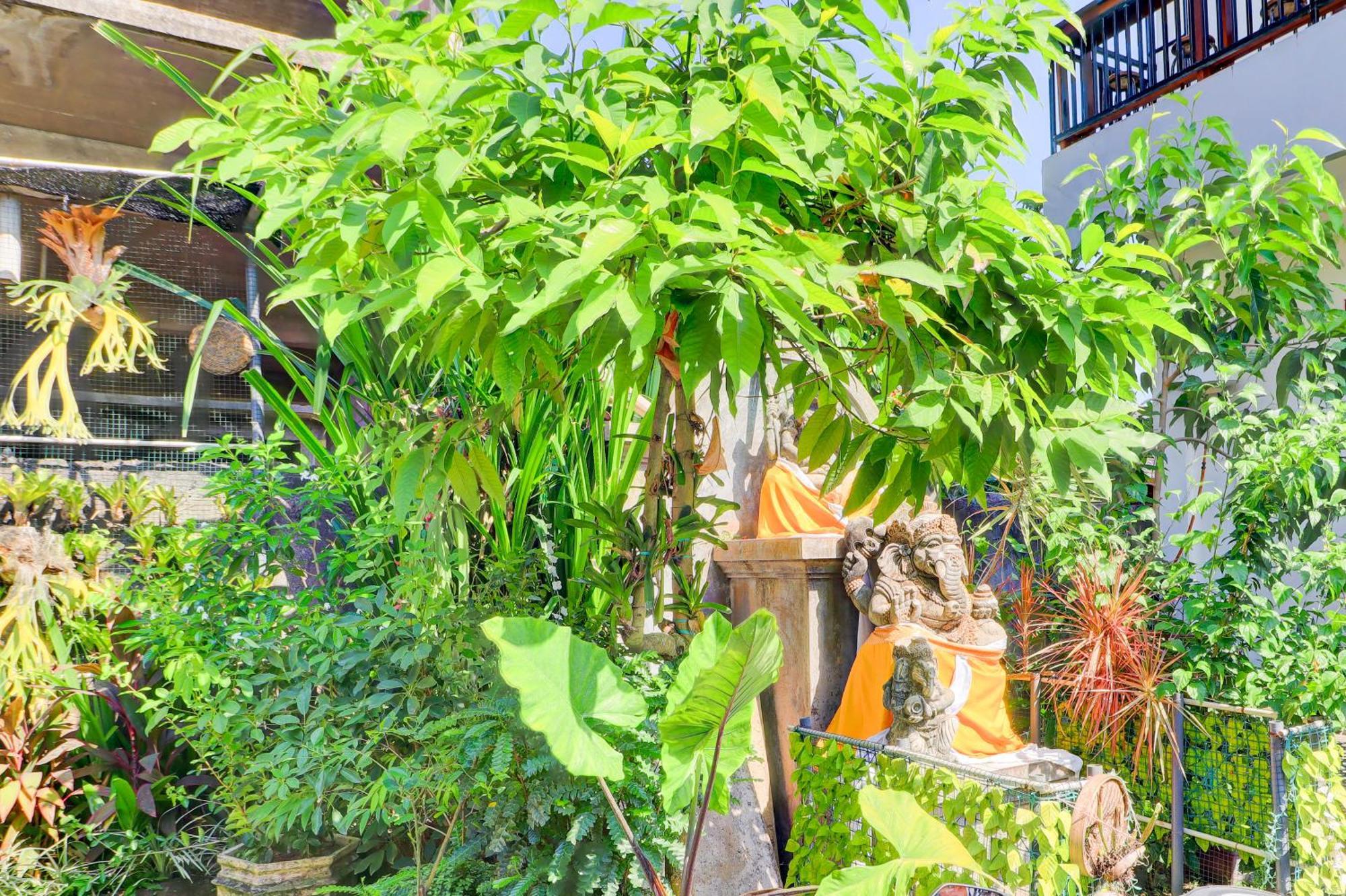 O Tulasi Near Monkey Forest * Ubud (Bali)
