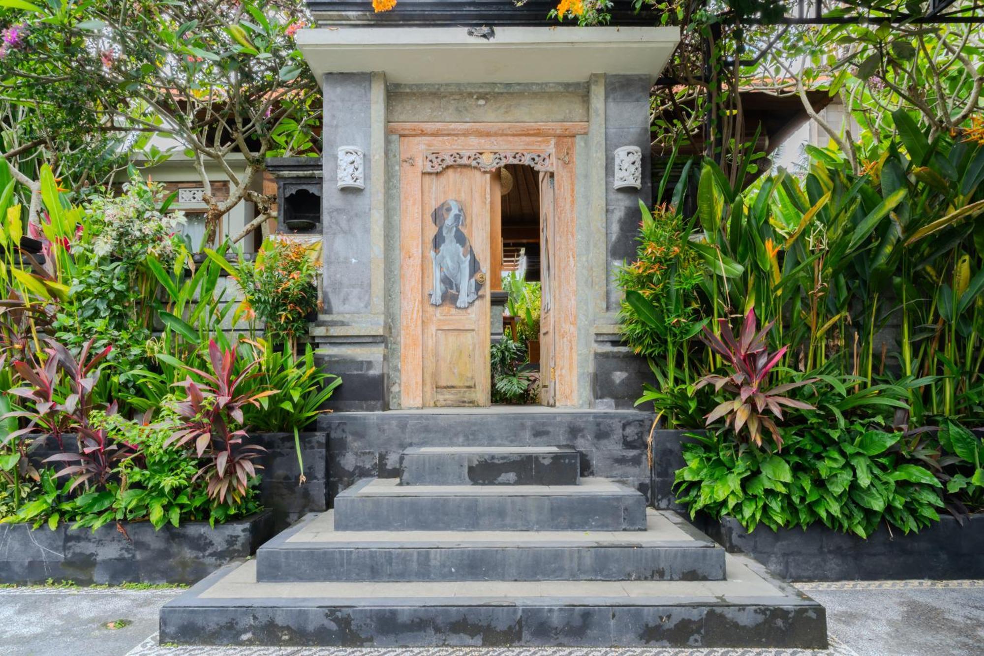 3 Beagle Ubud (Bali)