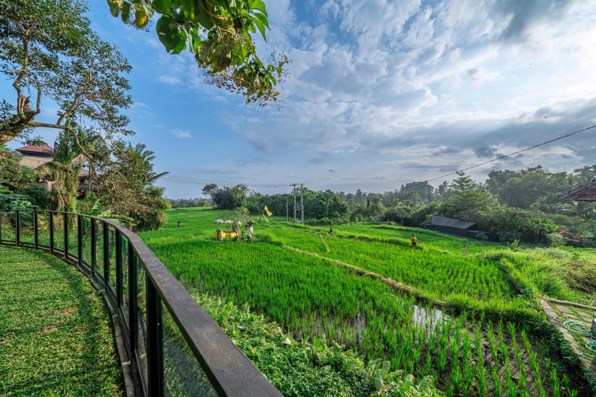 Sola * Ubud (Bali)