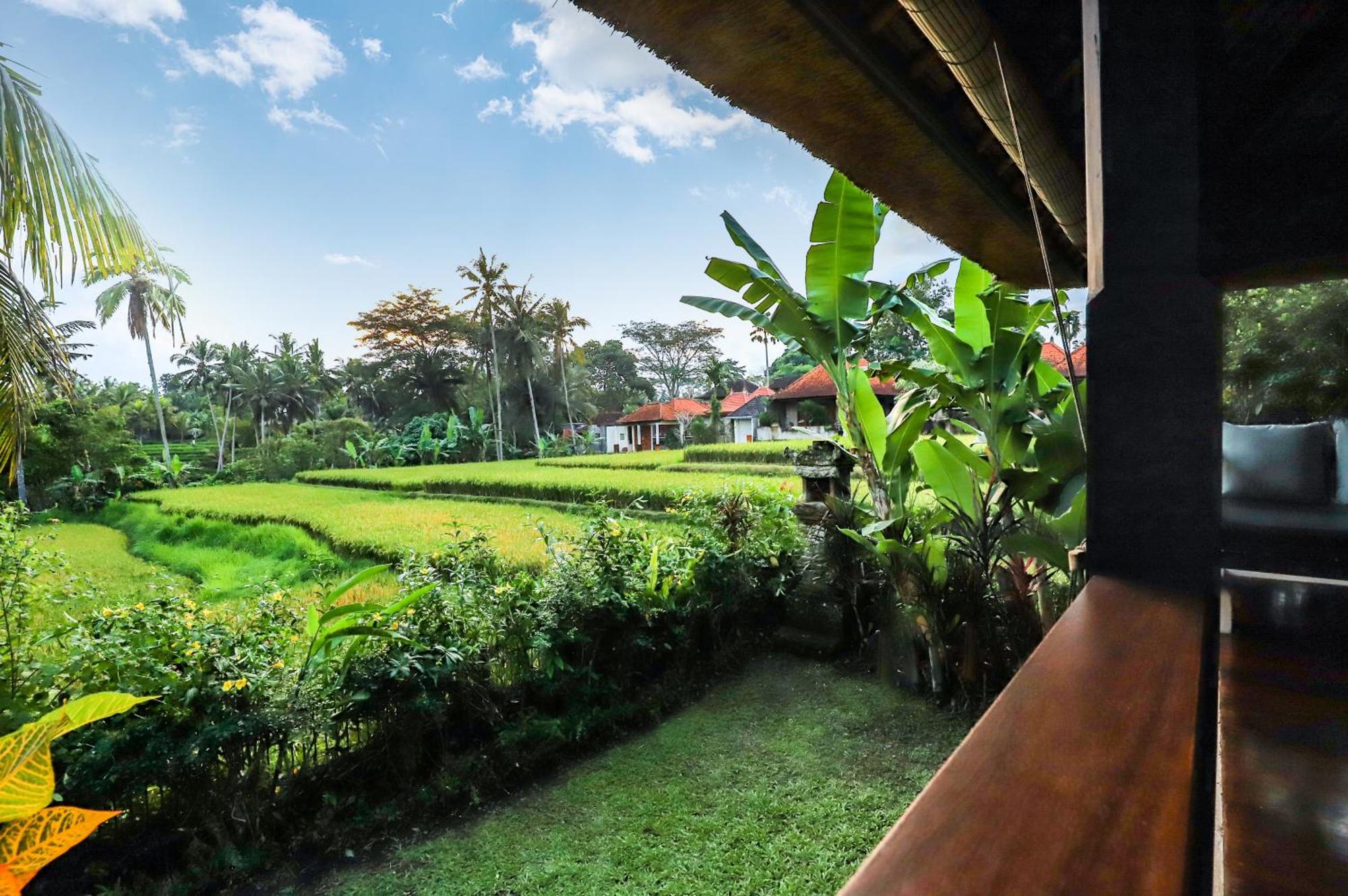 Villa Imperial In - Majestic Beauty And Nature *
