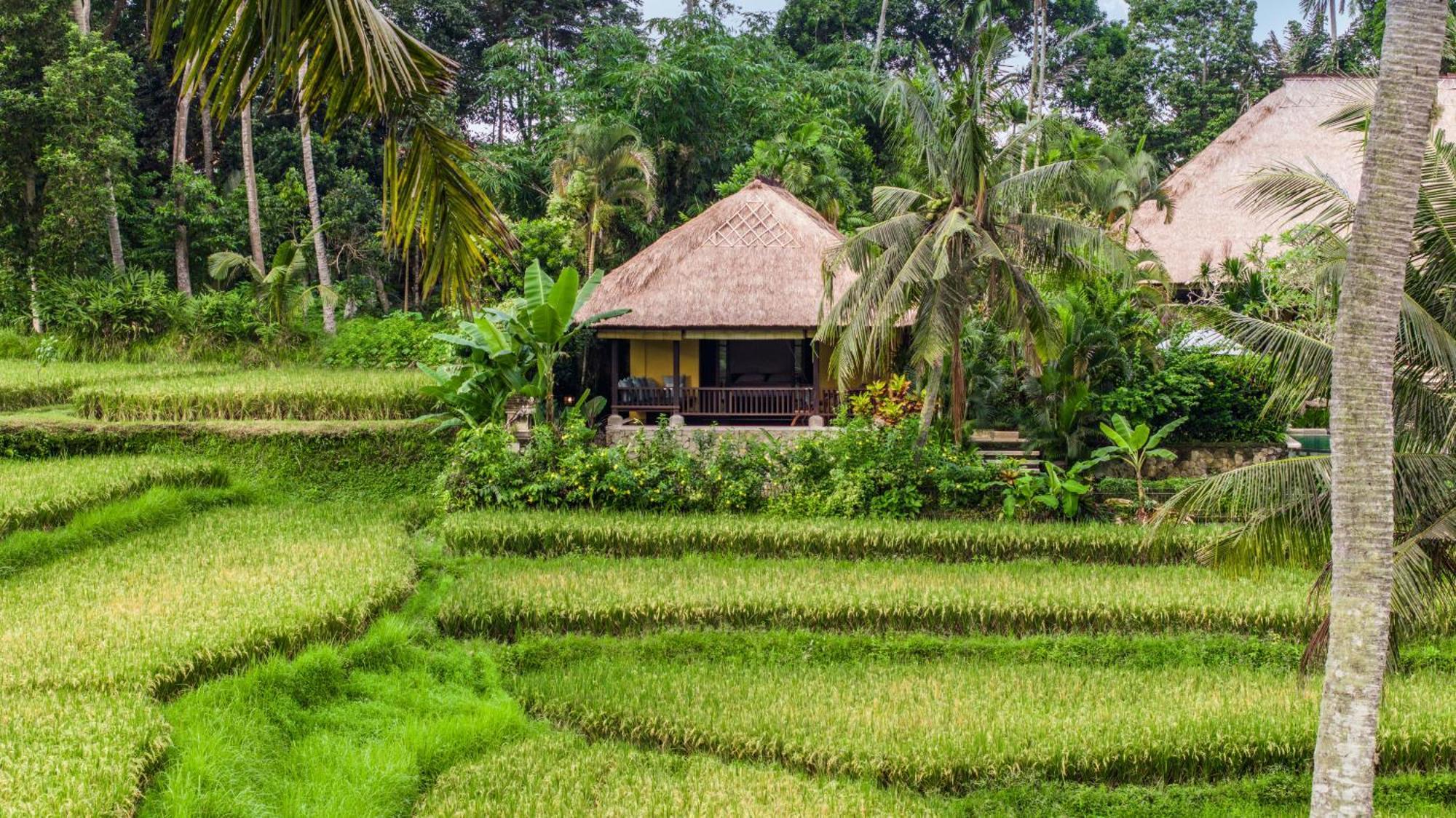Villa Imperial In - Majestic Beauty And Nature