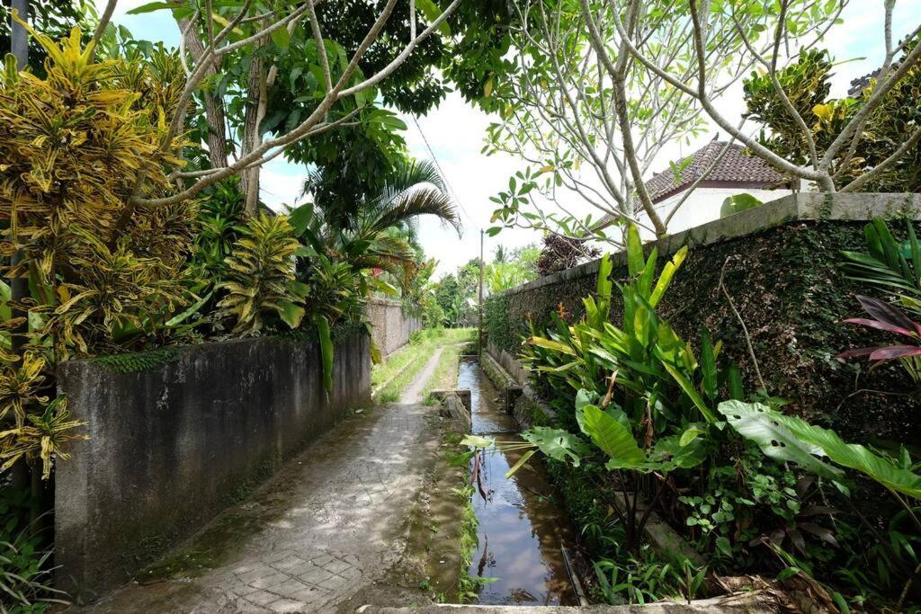 Villa Canikaya #3 Ubud (Bali)