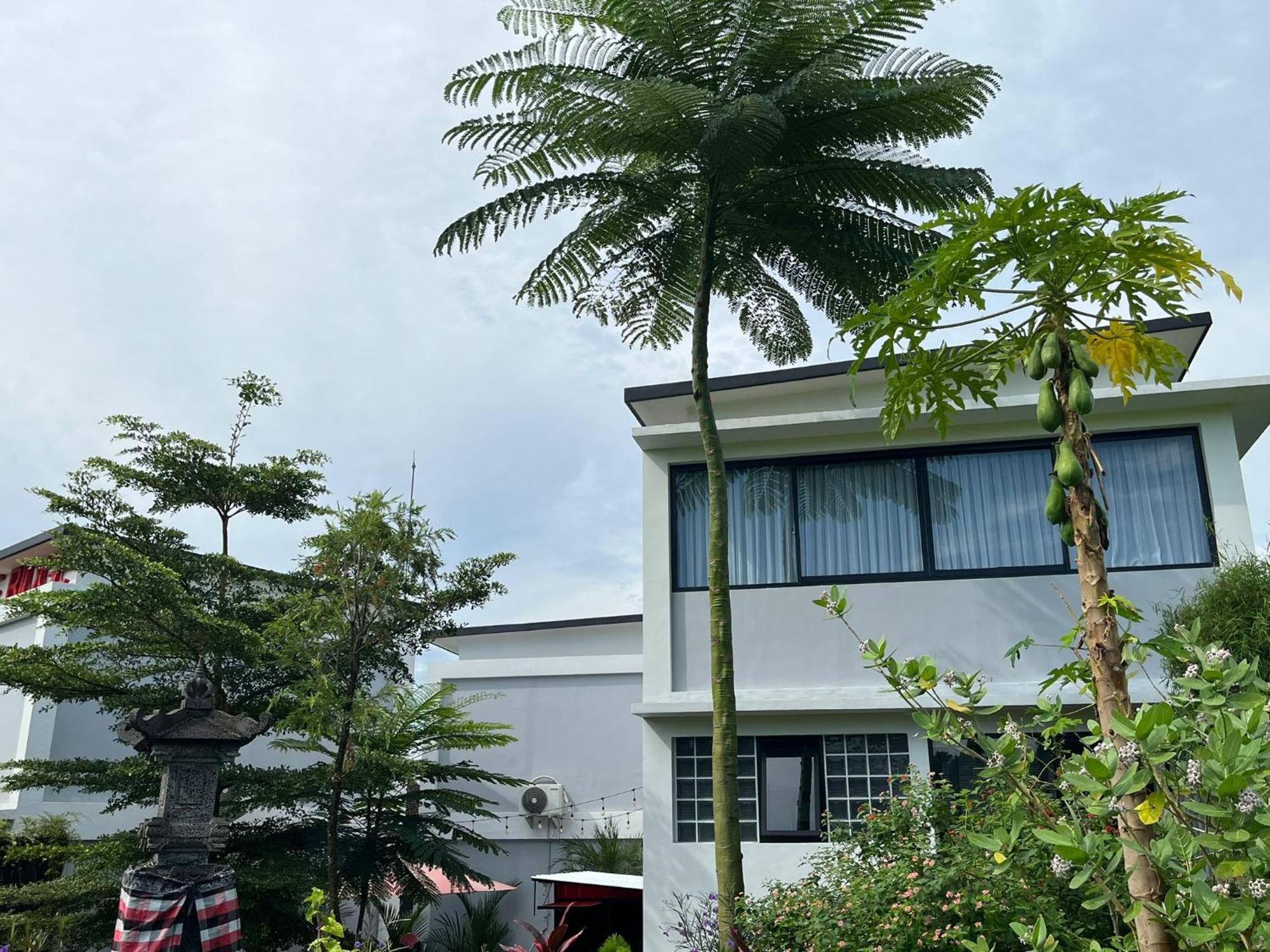 Maple Ridge * Ubud
