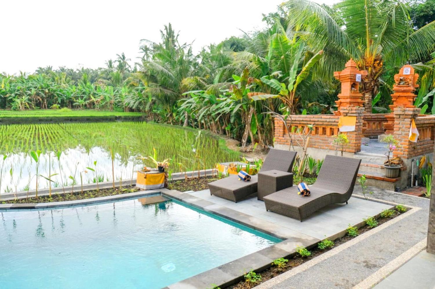 Mesari Rice Paddy Villa Ubud (Bali)