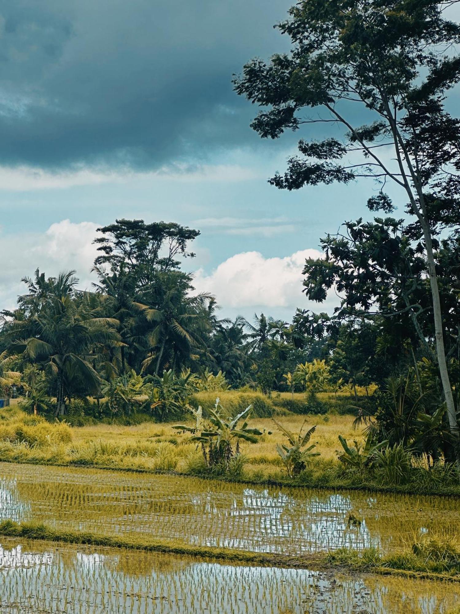 Armonia Ubud (Bali)