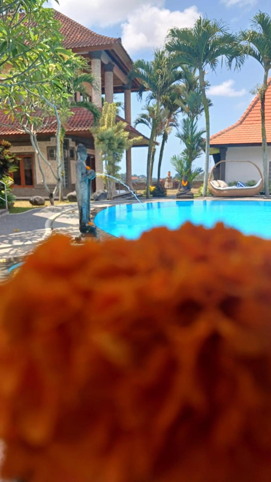 Hotel Ariana Ubud (Bali)