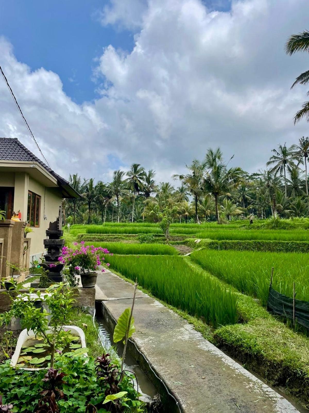 Kubu Rawa Ubud (Bali)
