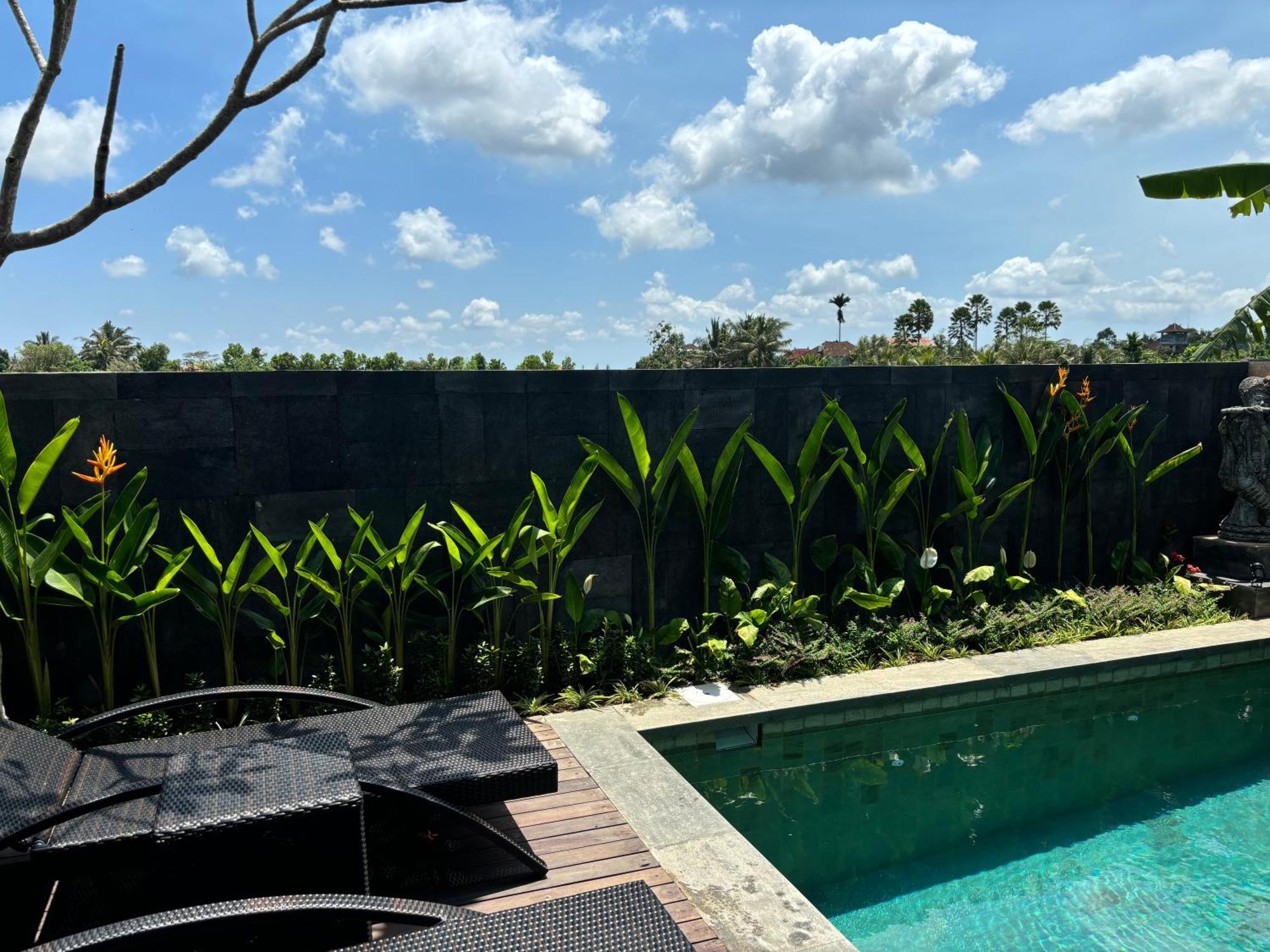 Uma Padi Villa Ubud (Bali)