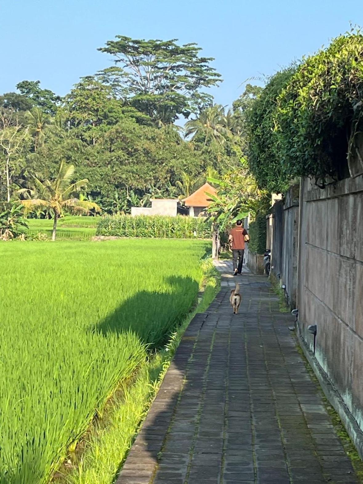Uma Padi Villa Ubud (Bali)