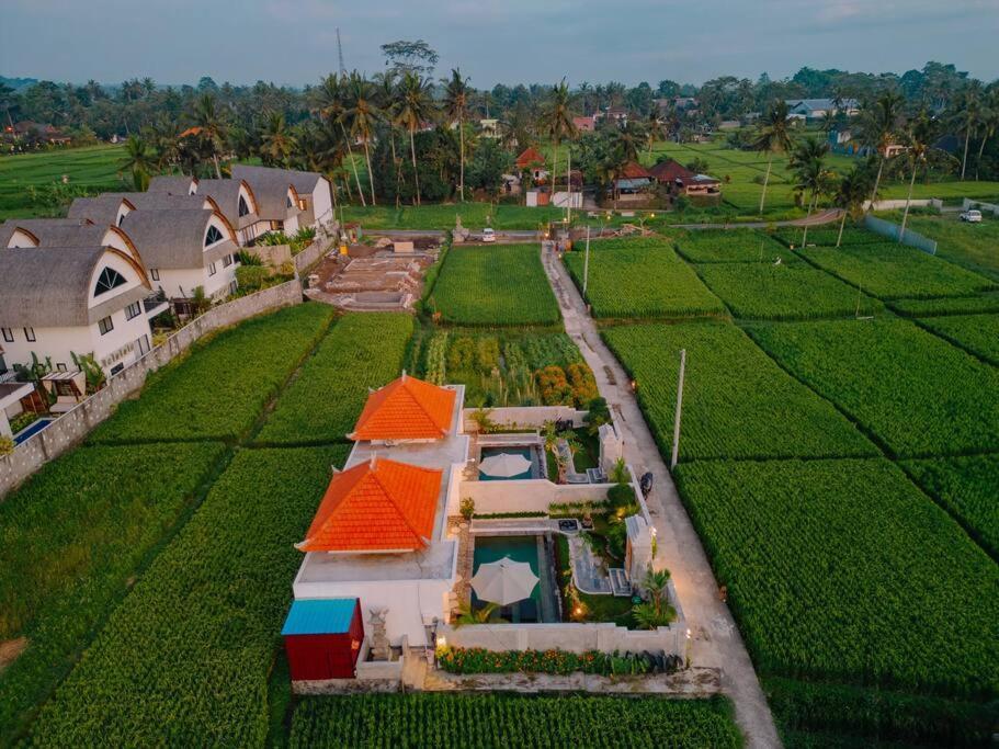Arca Bali 1 *