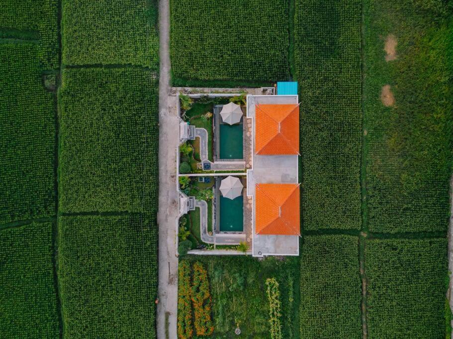 Arca Bali 1