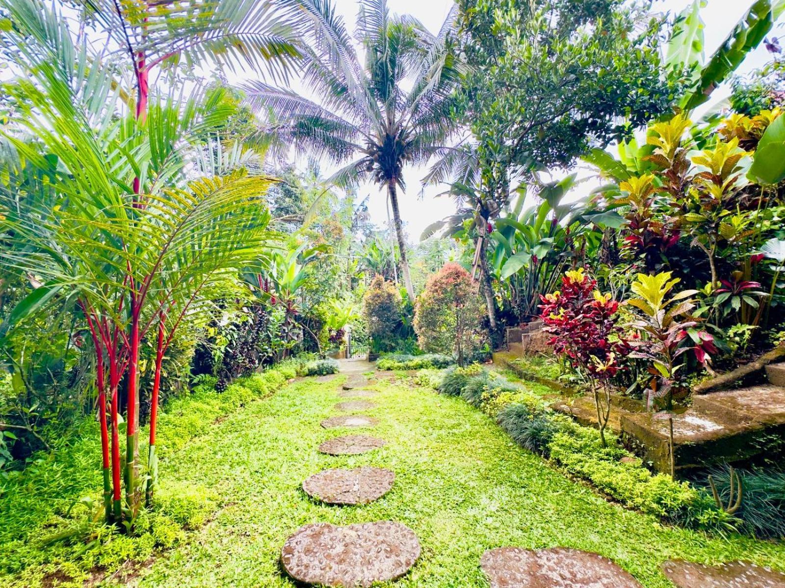 Surya View And By Eps 3* Ubud