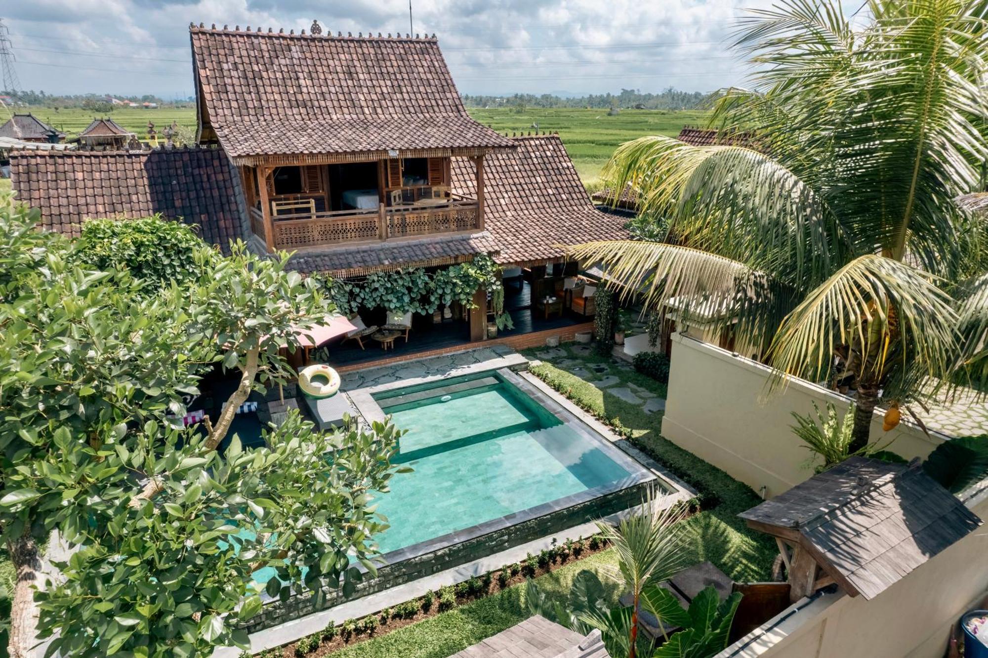 Indulge In The Serenity Of Bali At Rumah Elfi Villa Ubud (Bali)