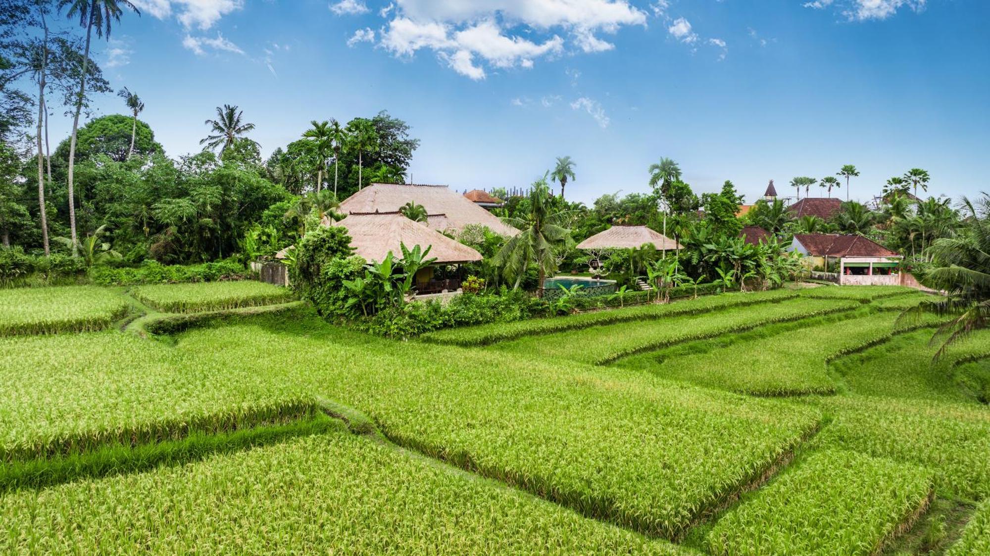 Imperial In - Majestic Beauty And Nature Ubud (Bali)